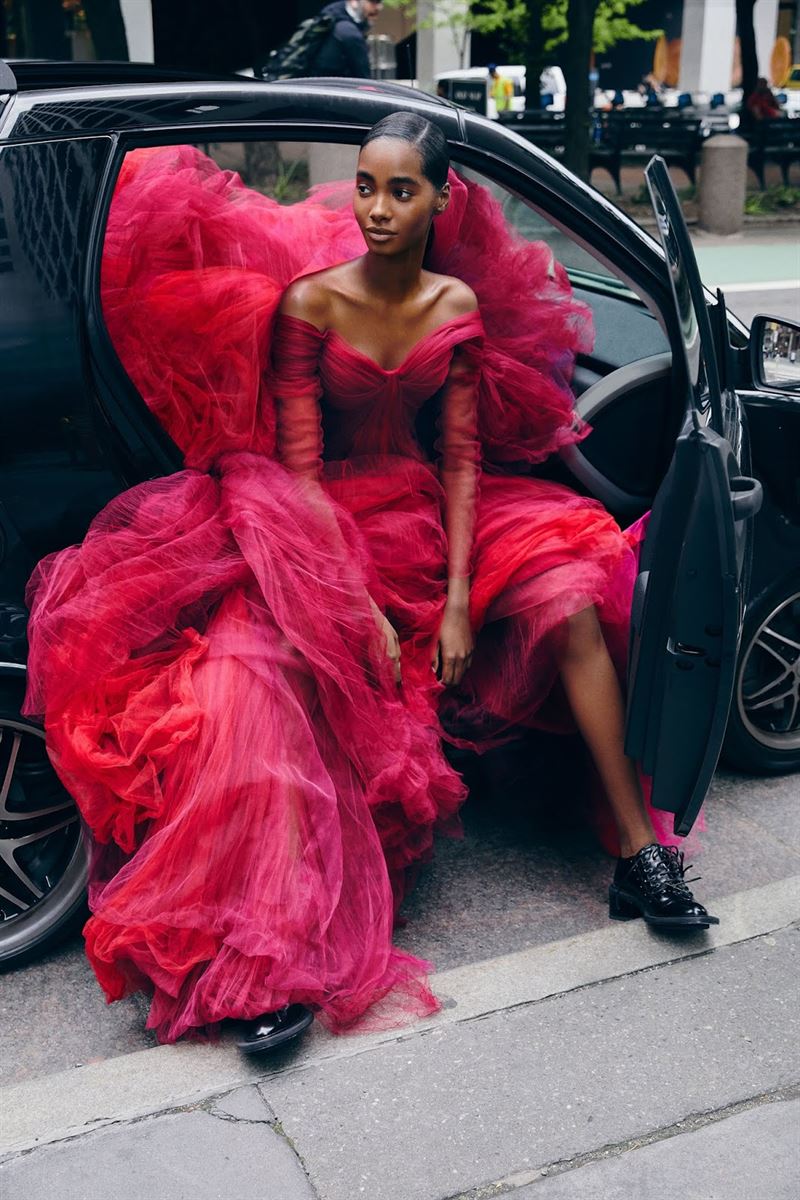 tami williams photo