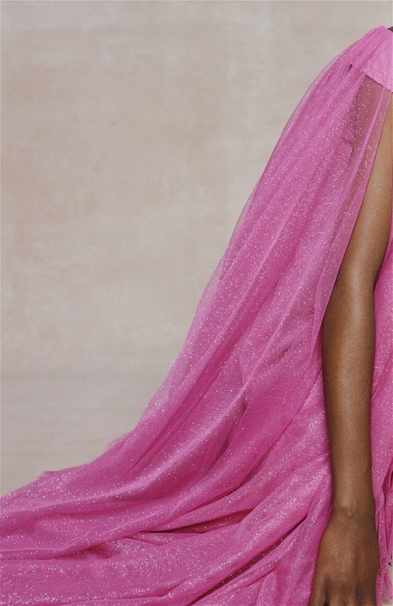 tami williams photo
