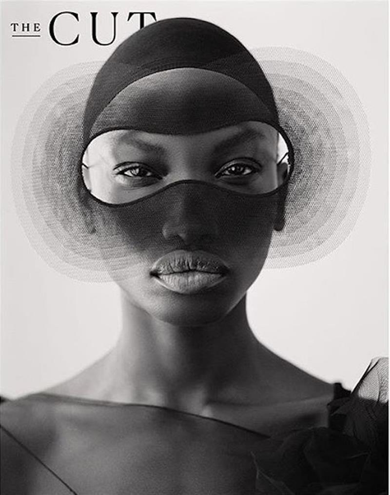 wayne booth photo