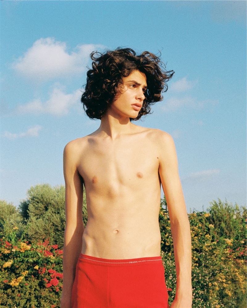 dan iwanir photo