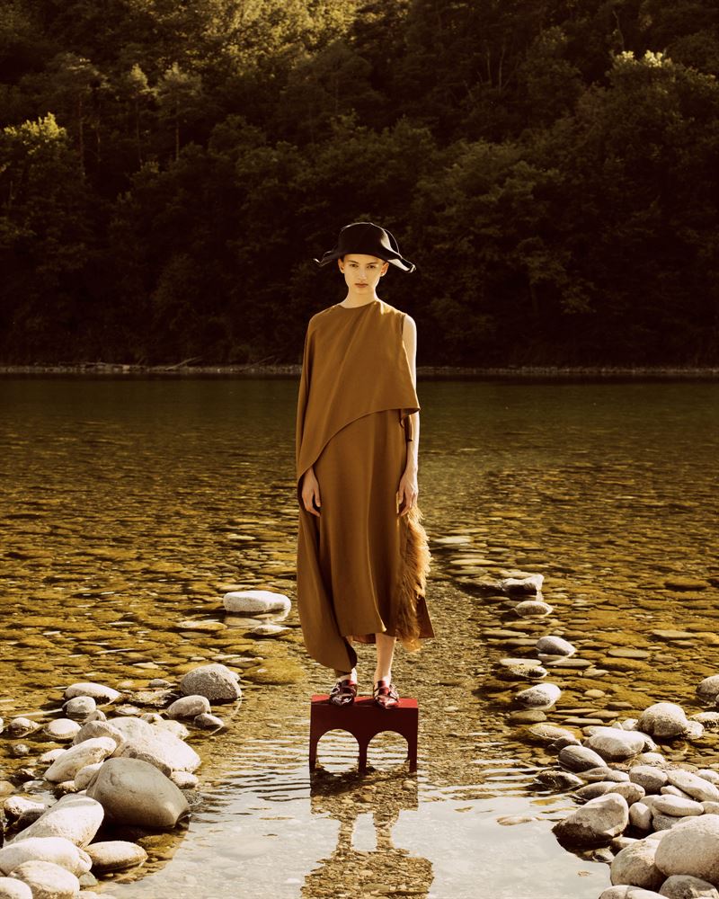 nel sitek photo
