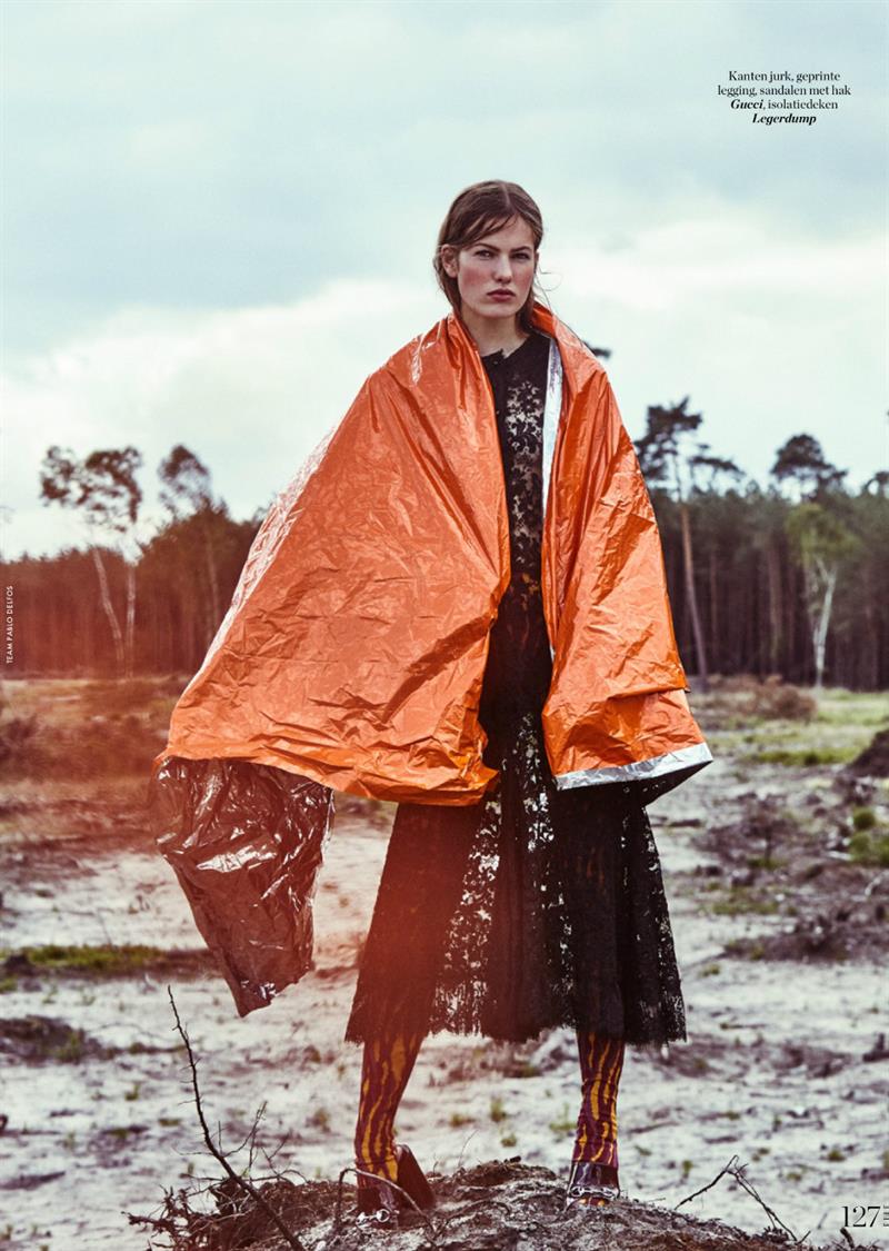roos van elk photo