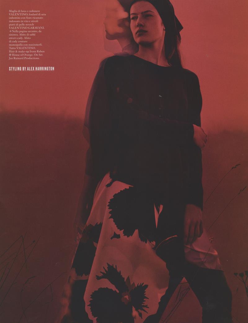 roos van elk photo