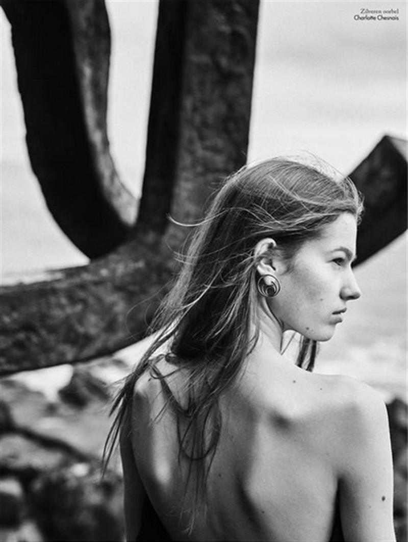 roos van elk photo