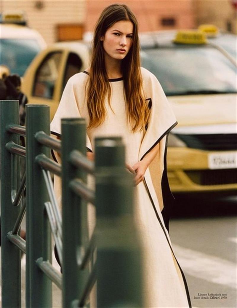 roos van elk photo