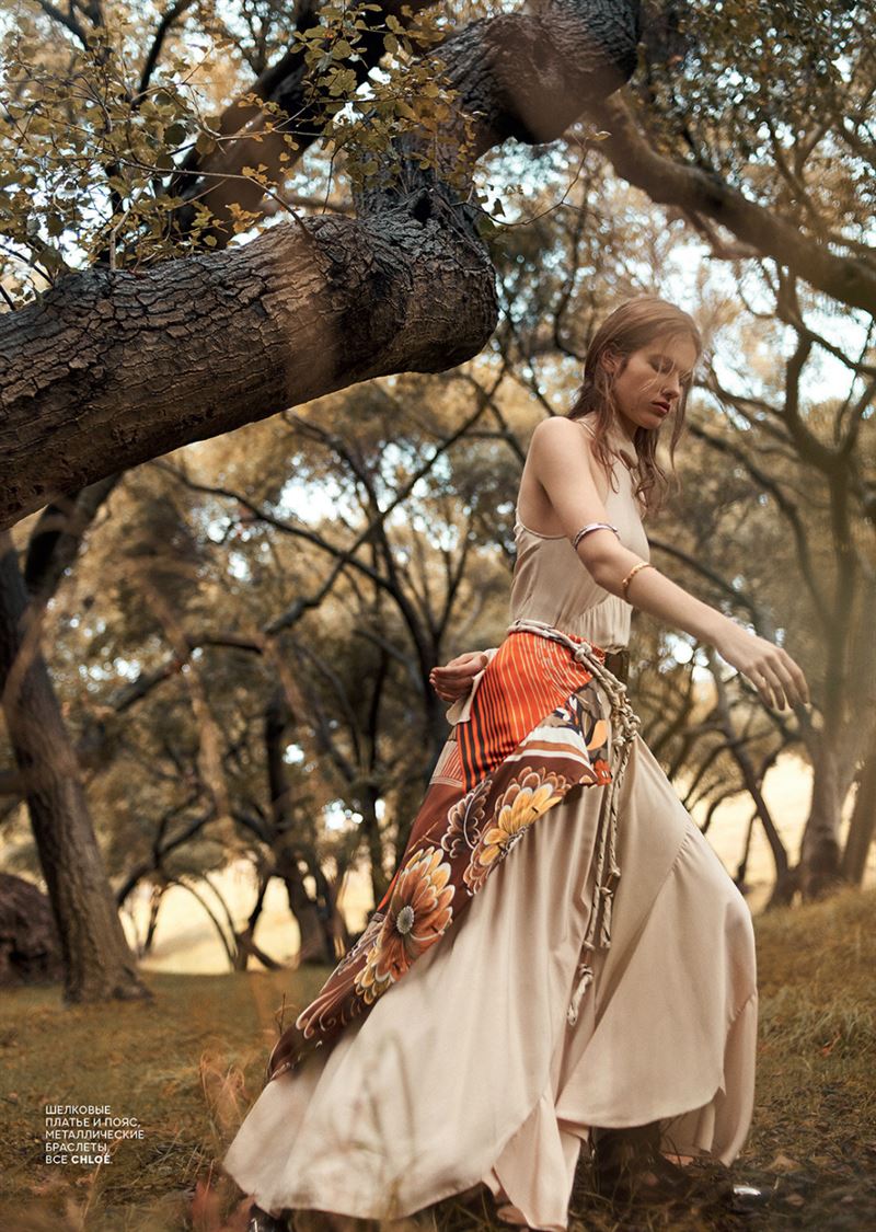 roos van elk photo
