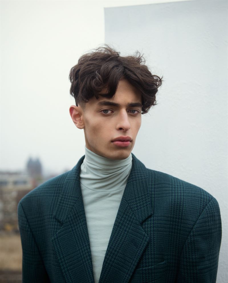 david palm photo