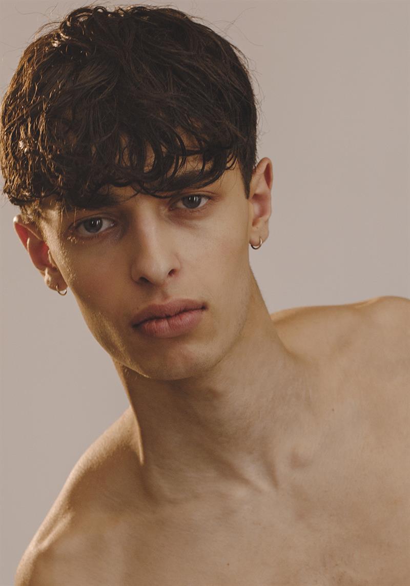 david palm photo