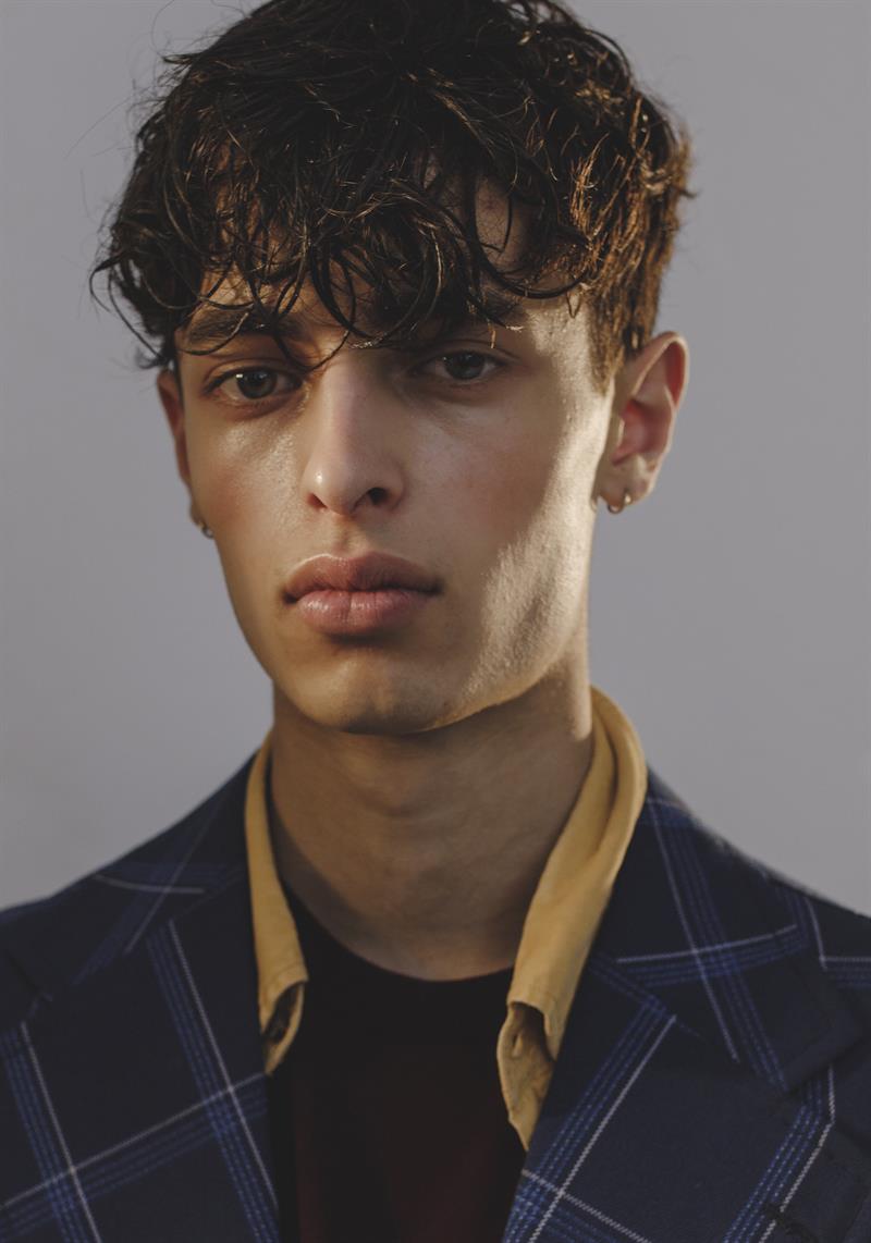 david palm photo