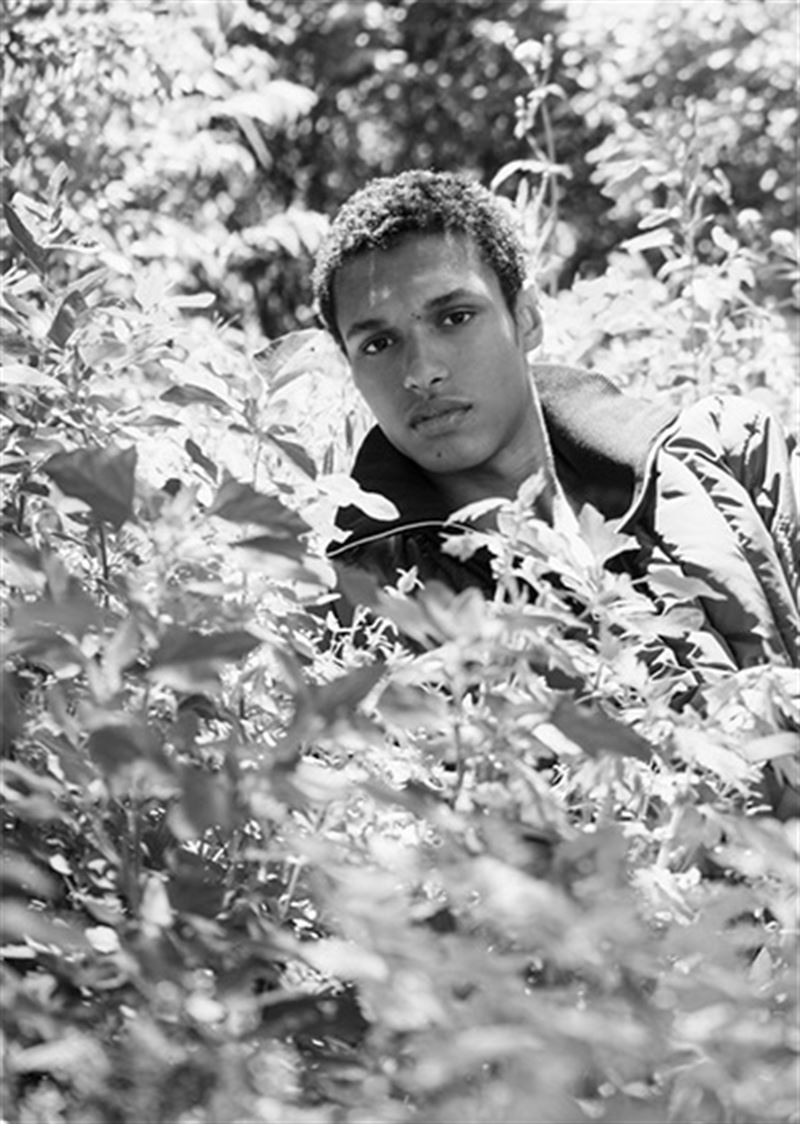 gilbert van damme photo