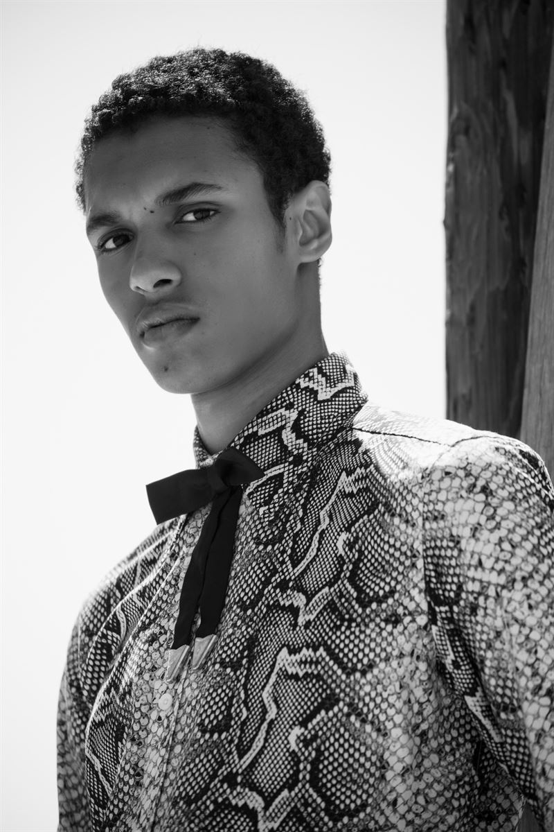 gilbert van damme photo
