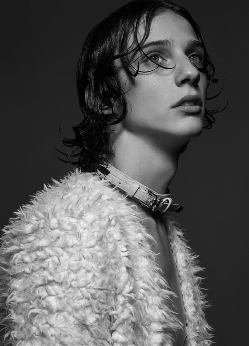 robert sears photo