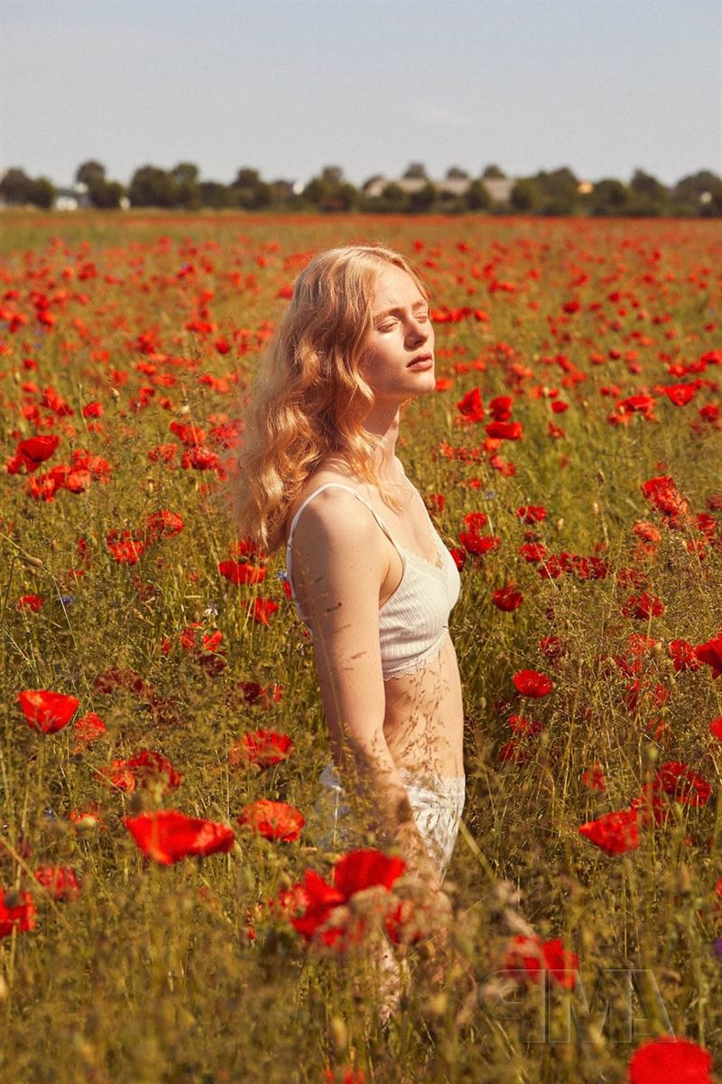 anne zarske photo