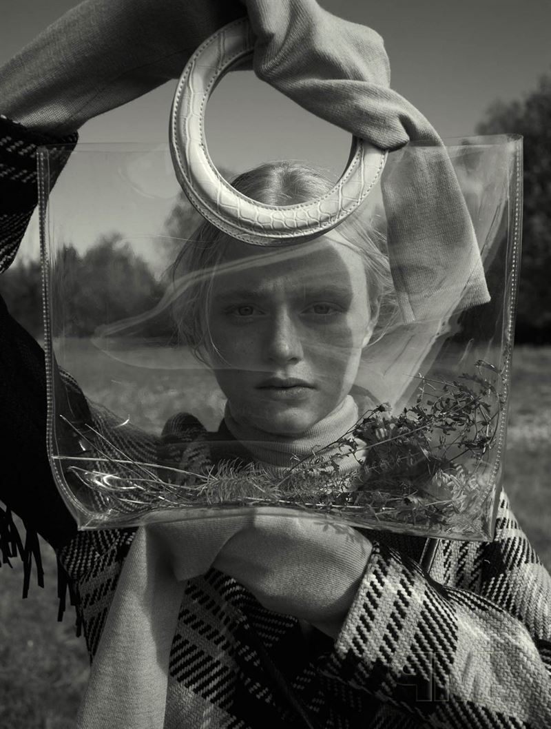 anne zarske photo